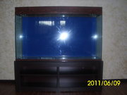 Морские,  пресные аквариумы