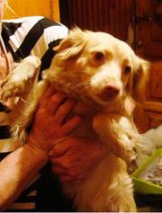 Даром хороший друг!