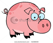 Продам поросят цена ниже рыночной !