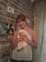 продам белоснежноно мини-пекинеса 