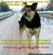 ПРОСИМ ПОМОЩИ!!!!