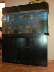 аквариум без рыбок,  срочно