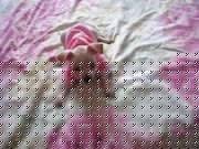 Милый щеночек Тойки