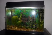 Аквариум 65 л.