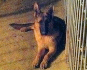 Продам немецкую обчарку