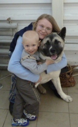 щенки акита американская