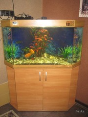 Аквариум 250 литров 80, 000 тг