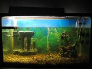 аквариум с железный с каркасом  63л