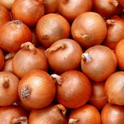продам лук по оптовой цене!