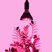 ФитоЛампа светодиодная LED