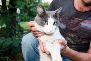 Мотик отдается в добрые руки