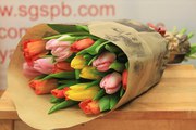 Отличная скидка на букет из 31 голландского тюльпана