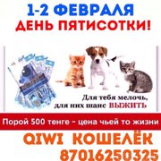 Приют для кошек нуждается в помощи!!!