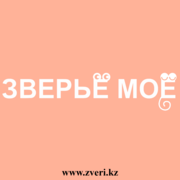 Зоотовары в Алматы