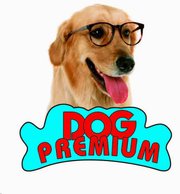 Ветеринарная клиника Dog Premium на Зимней улице 
