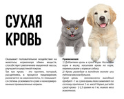 Сухая кровь - корм для животных!